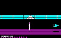 Cкриншот Karateka (1985), изображение № 296447 - RAWG