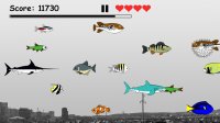 Cкриншот Hungry Fish Evolution, изображение № 863245 - RAWG