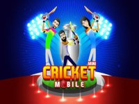 Cкриншот 2017 Mini Cricket Mobile Game, изображение № 1743426 - RAWG