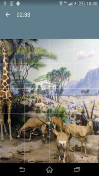 Cкриншот Jigsaw Puzzle: Animals, изображение № 1497936 - RAWG