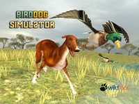 Cкриншот Bird Dog Chase Simulator, изображение № 1835858 - RAWG