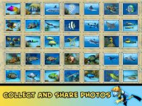 Cкриншот Divemaster - the Scuba Diver Photo Expedition Adventure game with sharks and dolphins, изображение № 60693 - RAWG