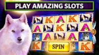 Cкриншот Slots on Tour Casino - Vegas Slot Machine Games HD, изображение № 1347057 - RAWG