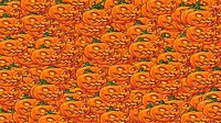 Cкриншот Halloween Screensaver, изображение № 2591224 - RAWG