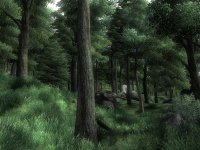 Cкриншот The Elder Scrolls IV: Oblivion, изображение № 699221 - RAWG