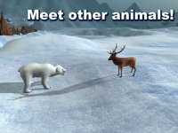 Cкриншот Polar Bear Survival Simulator 3D Free, изображение № 1700736 - RAWG