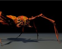 Cкриншот Spiders (Oirere-Jr), изображение № 1737258 - RAWG