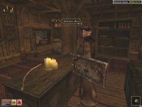 Cкриншот The Elder Scrolls III: Morrowind, изображение № 289956 - RAWG