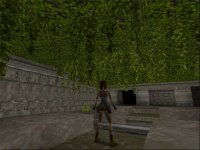 Cкриншот Tomb Raider, изображение № 320445 - RAWG