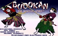 Cкриншот Budokan: The Martial Spirit (1991), изображение № 747721 - RAWG