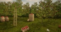 Cкриншот Orchard Simulator, изображение № 2129968 - RAWG