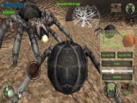 Cкриншот Spider Colony Simulator, изображение № 2174344 - RAWG