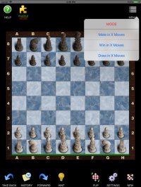 Cкриншот Chess Pro - Ultimate Edition, изображение № 2221353 - RAWG