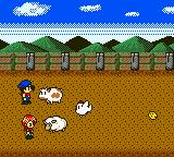Cкриншот Harvest Moon 2 GBC (1999), изображение № 742774 - RAWG