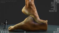 Cкриншот HAELE 3D - Feet Poser Pro, изображение № 3543603 - RAWG