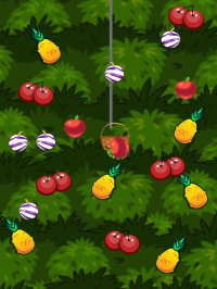 Cкриншот Fruit Scoop Berry Farm Master!, изображение № 1742160 - RAWG