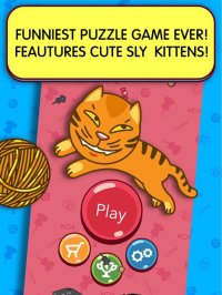 Cкриншот Sly Kittens!, изображение № 947815 - RAWG