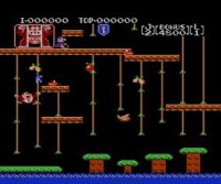 Cкриншот Donkey Kong Jr., изображение № 822748 - RAWG