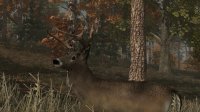 Cкриншот Deer Simulator, изображение № 333 - RAWG