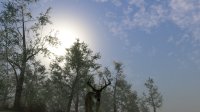 Cкриншот Pro Deer Hunting 2, изображение № 2740183 - RAWG