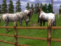 Cкриншот Wildlife Park 2: Horses, изображение № 493894 - RAWG