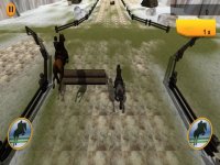 Cкриншот Amazing Horse Riding, изображение № 1604888 - RAWG