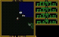 Cкриншот Ultima III: Exodus, изображение № 738531 - RAWG