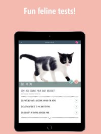 Cкриншот How Smart Is Your Cat? Fun Ways to Find Out!, изображение № 1729059 - RAWG