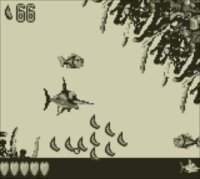 Cкриншот Donkey Kong Land 3, изображение № 822833 - RAWG