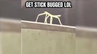 Cкриншот Get Stick Bugged Lol, изображение № 2484924 - RAWG