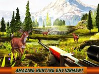 Cкриншот Deer Hunter - Big Buck Hunter, изображение № 1634271 - RAWG