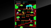 Cкриншот Arcade Archives Kangaroo, изображение № 2450731 - RAWG