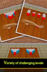 Cкриншот Beer Pong, изображение № 2102787 - RAWG