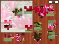 Cкриншот Big Jigsaw Puzzle Level Set - Free, изображение № 1606298 - RAWG