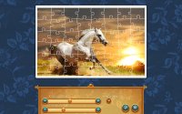 Cкриншот 1001 Jigsaw. 6 Magic Elements, изображение № 2013343 - RAWG