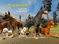 Cкриншот Dog Survival Simulator, изображение № 2327820 - RAWG