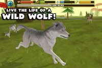 Cкриншот Wildlife Simulator: Wolf, изображение № 2104974 - RAWG
