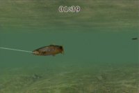 Cкриншот Reel Fishing Challenge, изображение № 247302 - RAWG