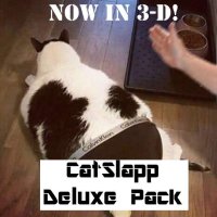 Cкриншот CatSlappDX, изображение № 2354554 - RAWG