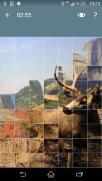 Cкриншот Jigsaw Puzzle: Animals, изображение № 1497934 - RAWG