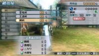 Cкриншот Dynasty Warriors: Strikeforce, изображение № 516226 - RAWG