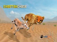 Cкриншот Cheetah Chase, изображение № 1773887 - RAWG