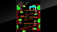 Cкриншот Arcade Archives Kangaroo, изображение № 2450730 - RAWG