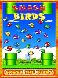 Cкриншот Smash Birds: Fun and Cool for Boys Girls and Kids, изображение № 2027067 - RAWG