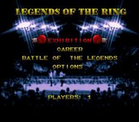 Cкриншот Boxing Legends of the Ring, изображение № 758594 - RAWG
