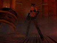 Cкриншот Catwoman, изображение № 392801 - RAWG
