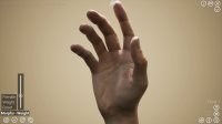 Cкриншот HAELE 3D - Hand Poser Lite, изображение № 3668839 - RAWG