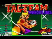 Cкриншот American Tag-Team Wrestling, изображение № 747322 - RAWG
