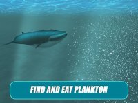 Cкриншот Whale Survival Simulator 3D - Ocean animal survival simulator, изображение № 1625913 - RAWG
