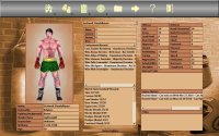 Cкриншот World Boxing Manager, изображение № 94850 - RAWG